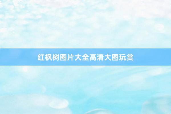红枫树图片大全高清大图玩赏