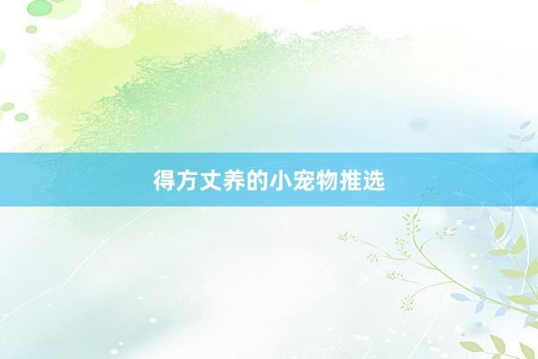 得方丈养的小宠物推选